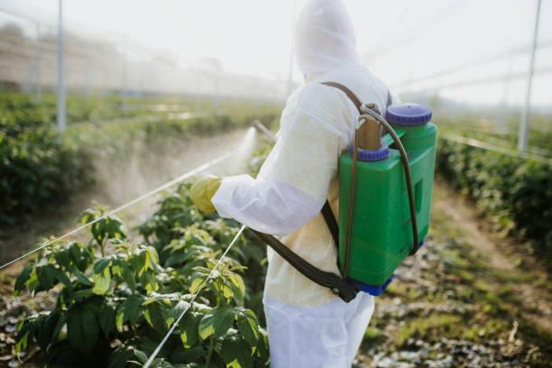 Best Affordable Pest Control Services  in Trezevant, TN